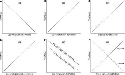 Untangling Effects of Human Disturbance and Natural Factors on Mortality Risk of Migratory Caribou